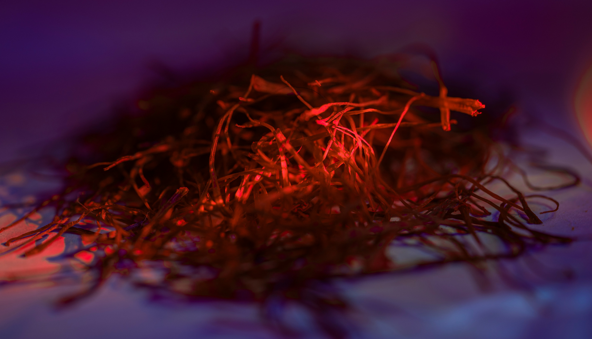 Saffron for Stress: Can the World’s Most Expensive Spice Lift Your Mood?