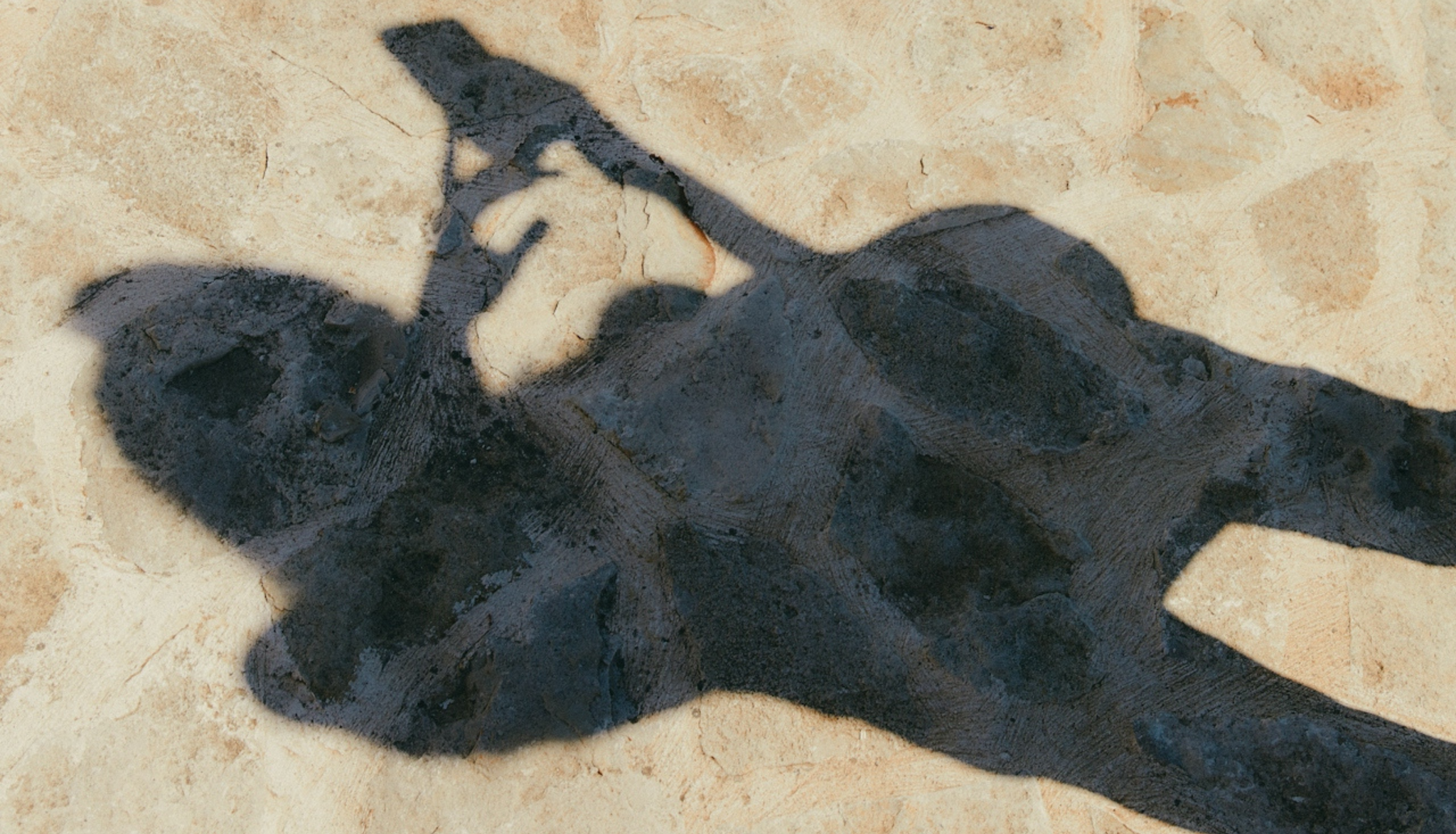 Vacation Guilt: Why You Can’t Switch Off and How to Lower Cortisol Naturally