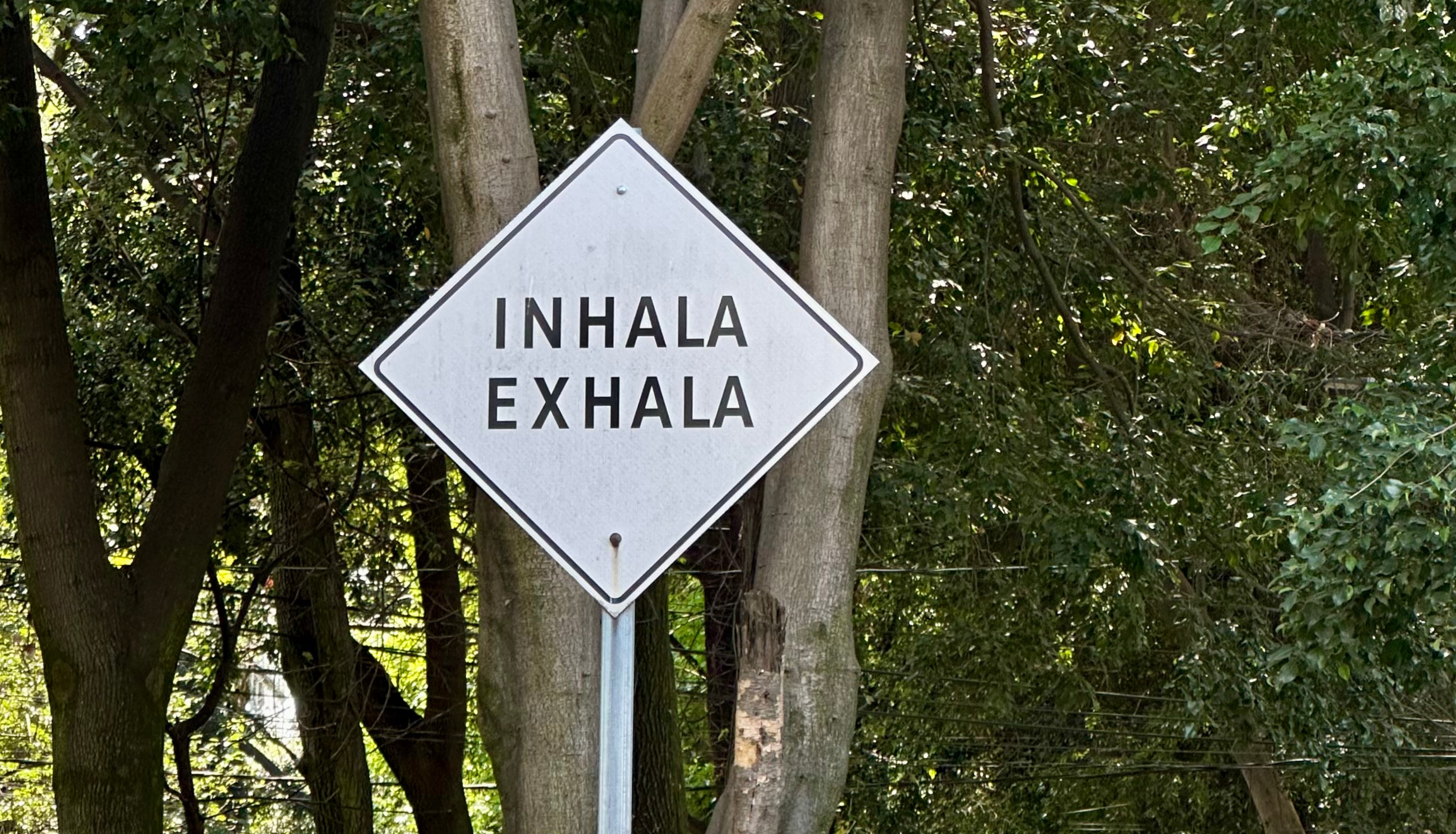 street sign that says "inhala, exhala"