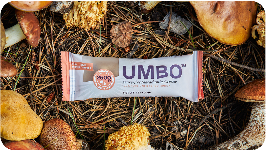 Introducing UMBO: Mushrooms for Focus, Endurance and Sleep