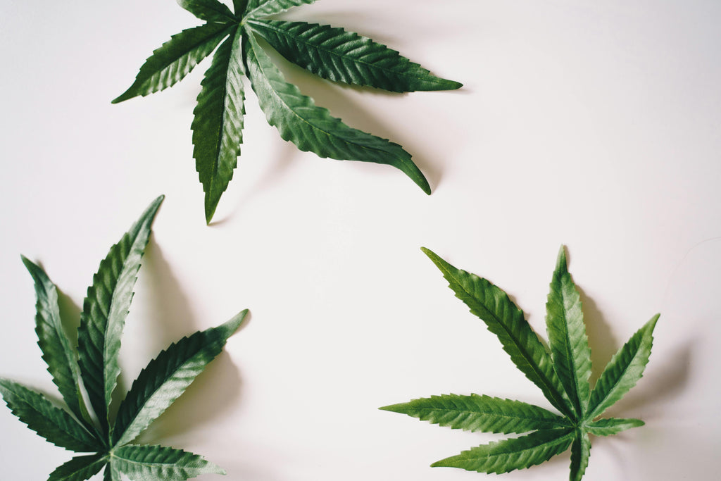 CBD: Your Questions Answered (Minus the Hype)