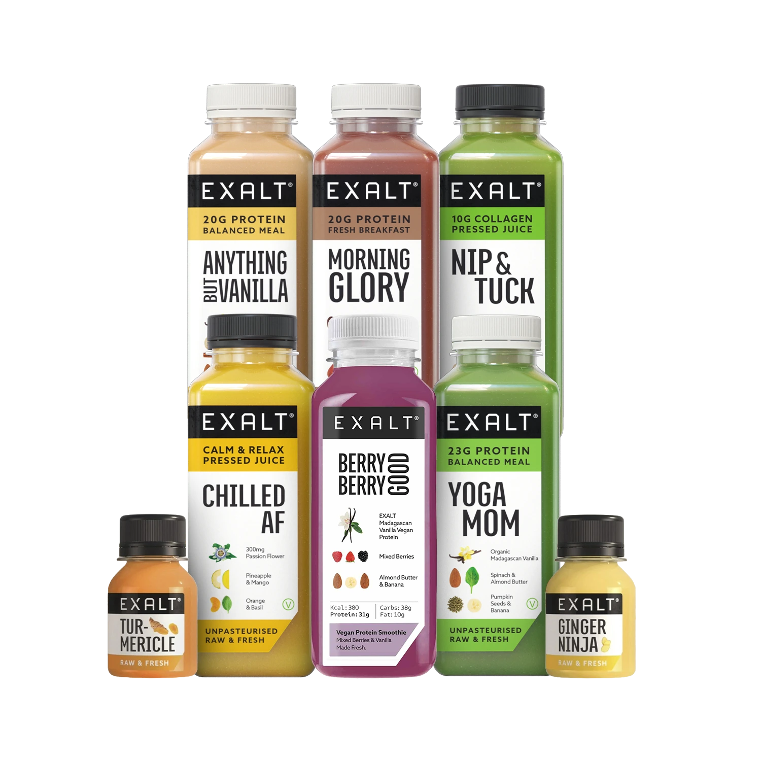 1 Day Juice Cleanse - EXALT Life