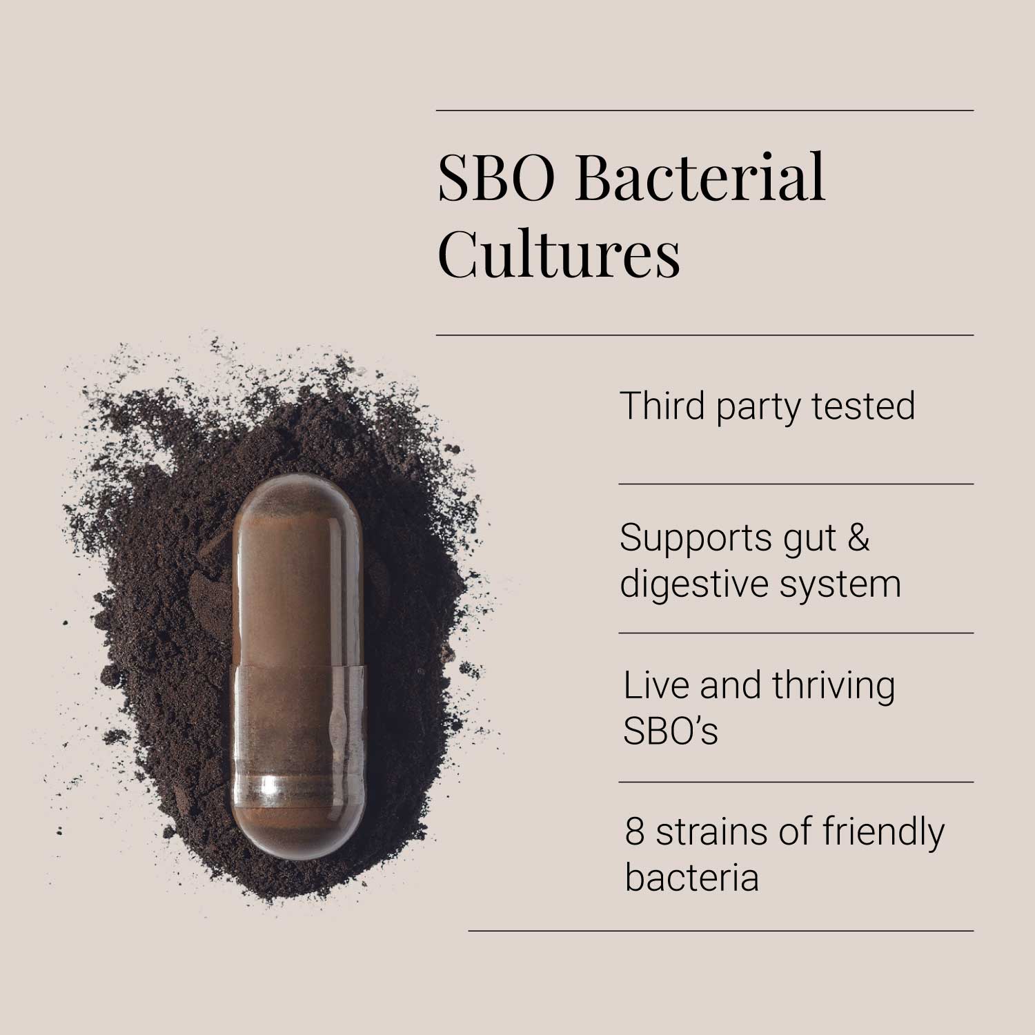 Gut + Immunity Power Bundle