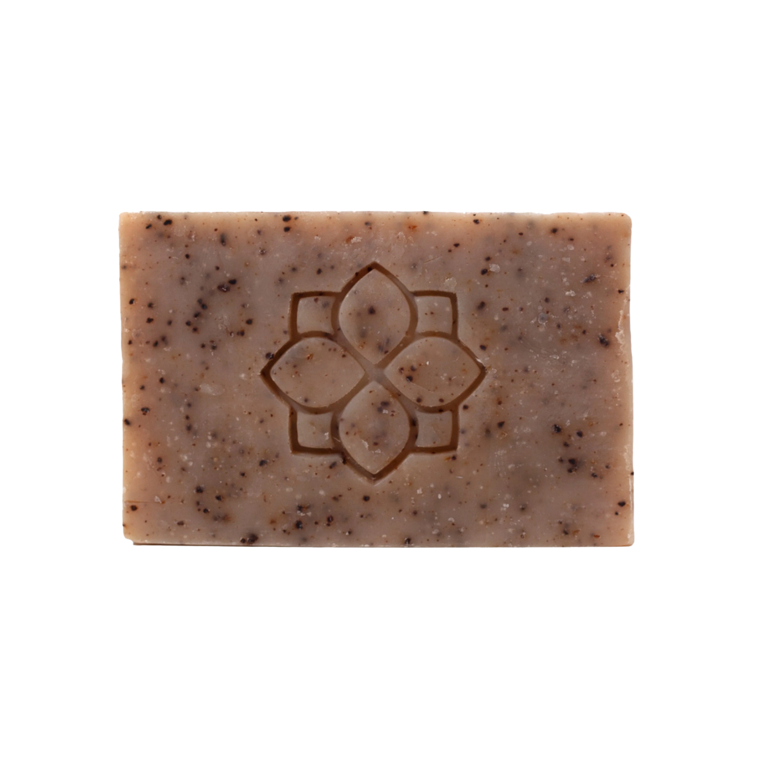 Exfoliate Body Soap