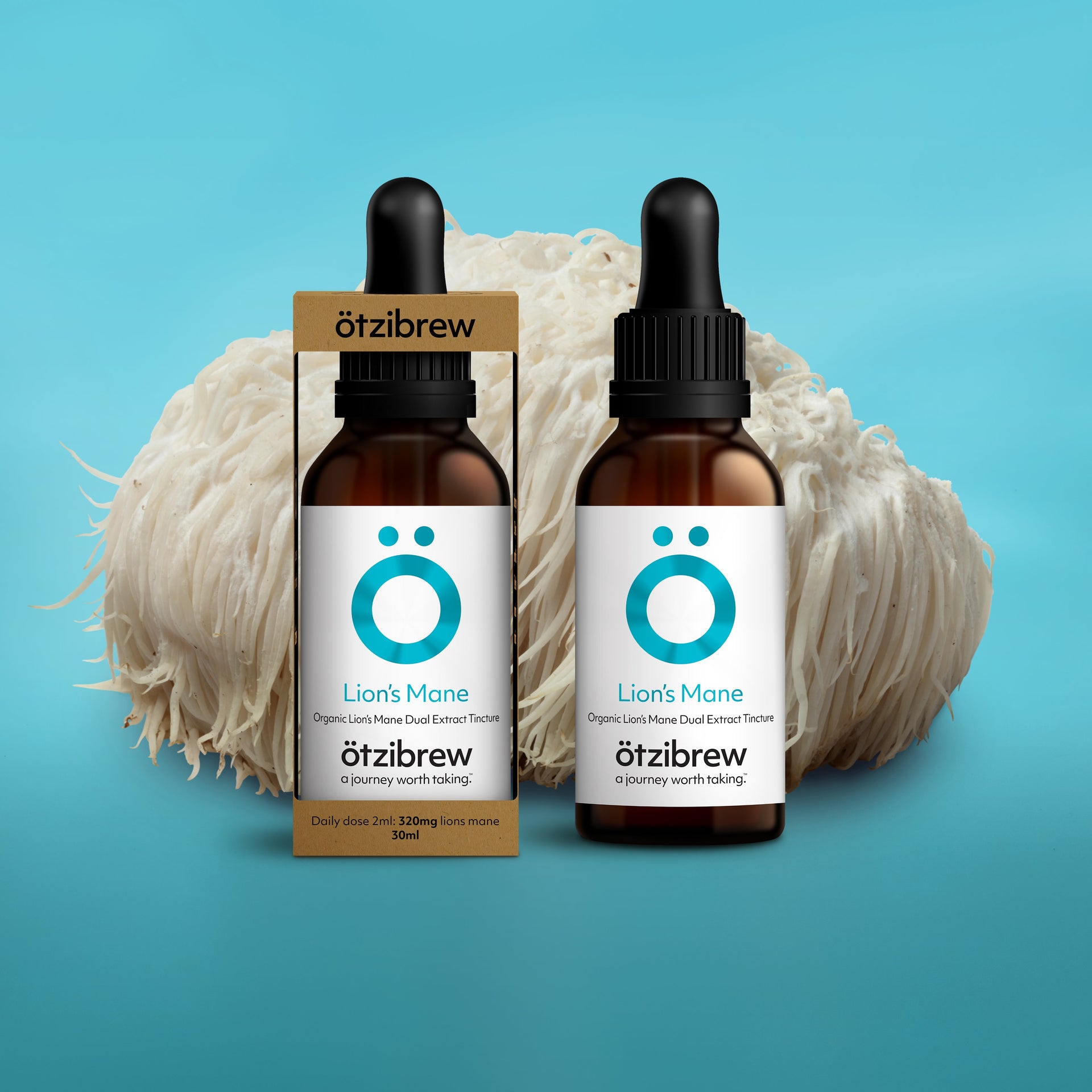 Organic Lion's Mane Dual Extract Tincture