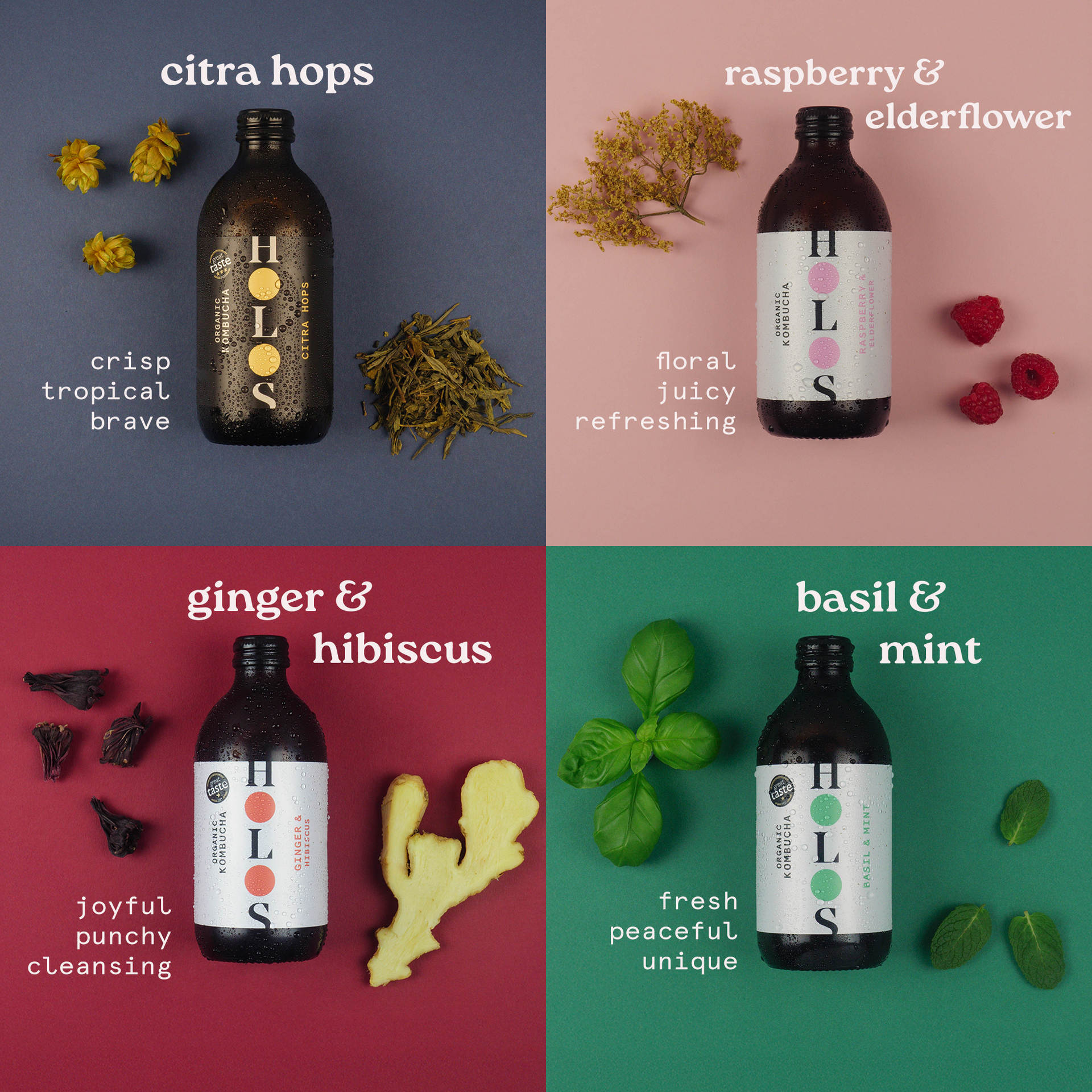 Organic Kombucha