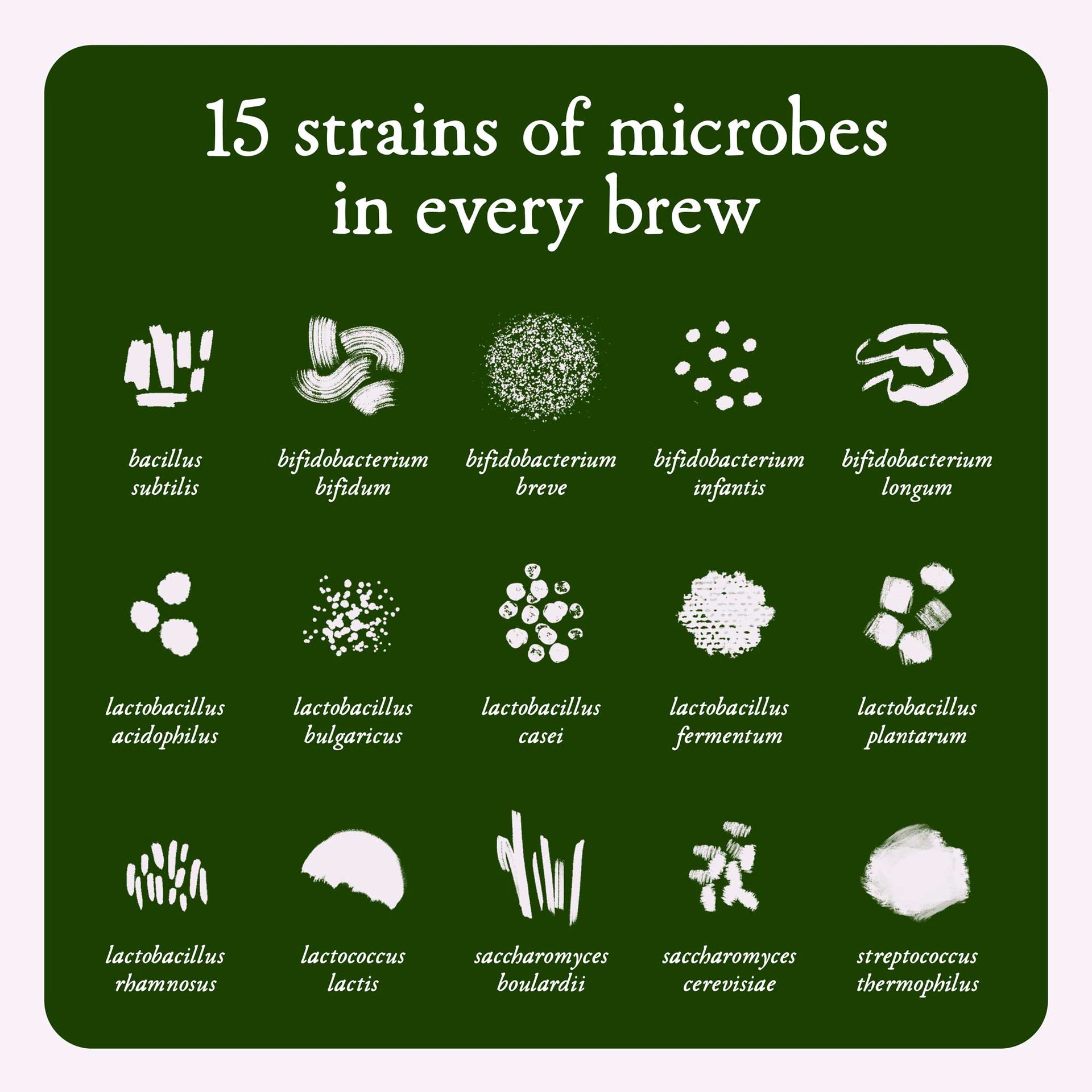 Breathe Probiotic Drink